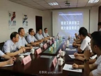 推進(jìn)艾草深加工，做大做強(qiáng)南陽艾，主題座談會成功召開