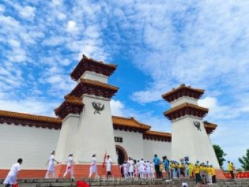 南陽(yáng)中藥材種植面積185萬(wàn)畝 艾草年銷(xiāo)售額達(dá)110億元