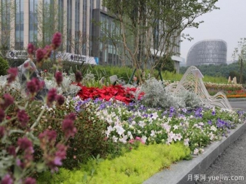 四川成都花卉苗木基地在地資產(chǎn)達(dá)800余億元