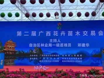 花開八桂壯美廣西，第二屆廣西花卉苗木交易會開幕