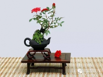 如何制作漂亮的月季盆景？藝術(shù)品來了