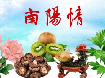 南陽西峽：實(shí)施知識(shí)產(chǎn)權(quán)強(qiáng)縣戰(zhàn)略