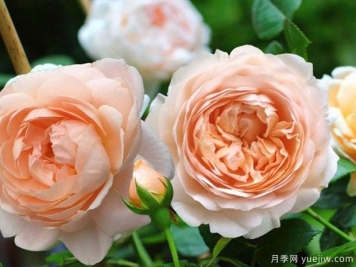 干凈不只是一種氣質(zhì)，也是一個(gè)人的尊嚴(yán)