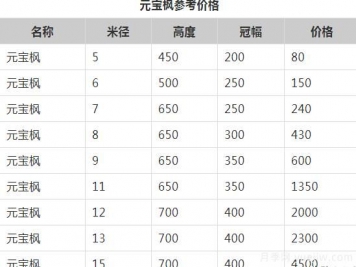 元寶楓的價格一路上漲，大規(guī)格優(yōu)質(zhì)苗一株能賣上萬元