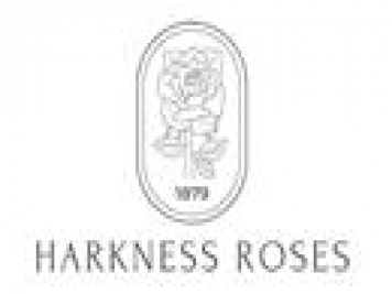 月季育種家：英國哈克尼斯月季公司(Harkness哈克內斯)