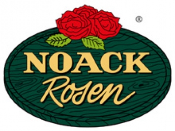 月季育種家：德國(guó)Noack Rosen月季苗圃(諾克/諾亞克)