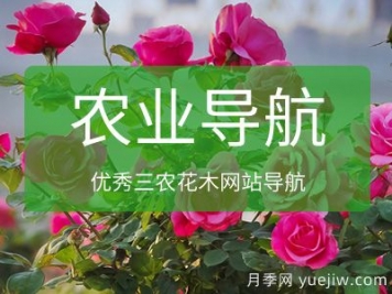 農(nóng)業(yè)花木網(wǎng)址導(dǎo)航_十大農(nóng)業(yè)網(wǎng)站