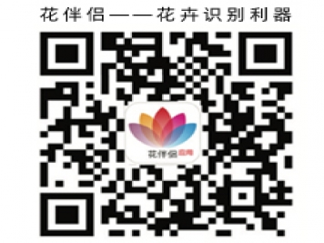 花伴侶app，花卉識別，花草樹木呈名