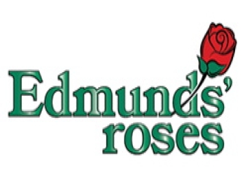 月季育種家：美國Edmunds' Roses(埃德蒙茲月季園)