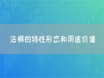 法桐的特性形態(tài)和用途價(jià)值