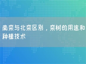南欒與北欒區(qū)別，欒樹的用途和種植技術(shù) 