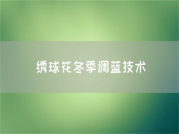 繡球花冬季調(diào)藍技術