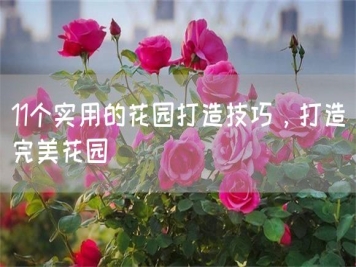 11個實用的花園打造技巧，打造完美花園