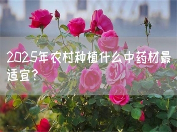 2025年農(nóng)村種植什么中藥材最適宜？