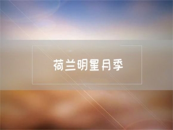 荷蘭明星月季