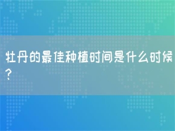 牡丹的最佳種植時間是什么時候？