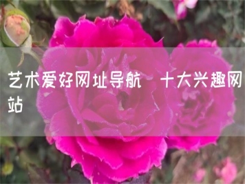 藝術(shù)愛好網(wǎng)址導(dǎo)航_十大興趣網(wǎng)站
