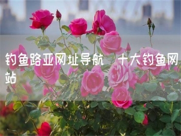 釣魚路亞網(wǎng)址導航_十大釣魚網(wǎng)站