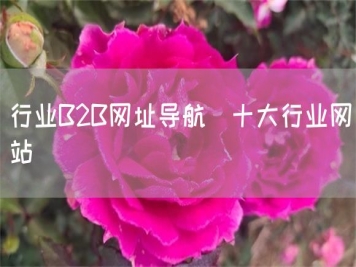 行業(yè)B2B網(wǎng)址導(dǎo)航_十大行業(yè)網(wǎng)站