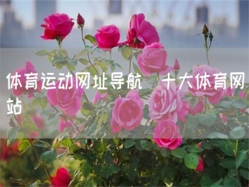 體育運(yùn)動網(wǎng)址導(dǎo)航_十大體育網(wǎng)站