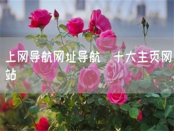 上網導航網址導航_十大主頁網站
