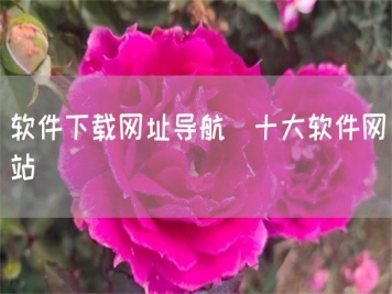 軟件下載網址導航_十大軟件網站