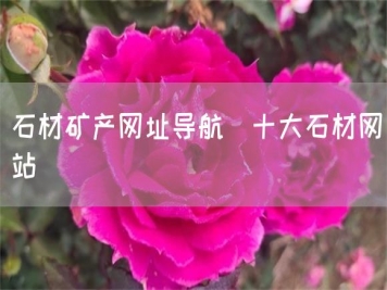 石材礦產(chǎn)網(wǎng)址導(dǎo)航_十大石材網(wǎng)站