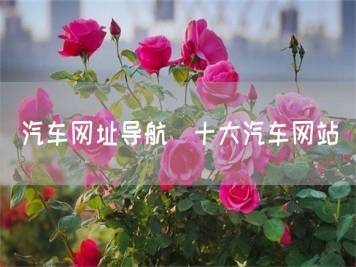 汽車網址導航_十大汽車網站