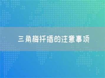 三角梅扦插的注意事項(xiàng)
