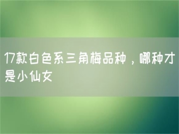 17款白色系三角梅品種，哪種才是小仙女