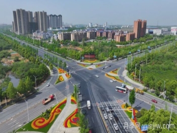 萬株樹狀月季齊綻放，扮靚寧鄉(xiāng)城市新風景
