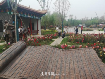 南陽(yáng)世界月季大觀園社旗展園
