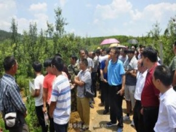 什么是新農(nóng)人，和傳統(tǒng)農(nóng)民有什么區(qū)別