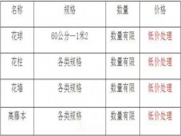 清地在即，部分造型月季品類月季價格短時間走低
