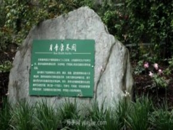 成都植物園也有月季園了，超美盛花期來啦