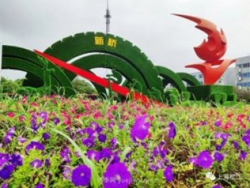 上海松江這里的花壇、花境“上新”啦！特色景觀升級！