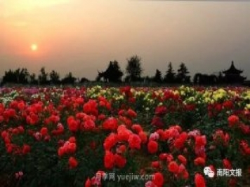 南陽(yáng)自然條件卓越，產(chǎn)業(yè)發(fā)展迅速，獨(dú)享“世界月季名城”稱號(hào)