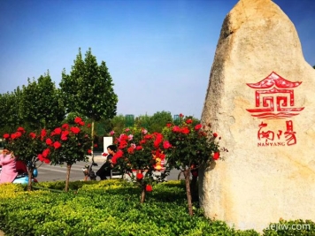 南陽(yáng)內(nèi)鄉(xiāng)縣森林覆蓋率45.9%，中藥材達(dá)400多種