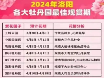 2024年洛陽牡丹絢爛綻放，誰與爭鋒？