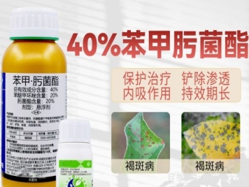 月季打藥怎么配？稀釋很難嗎？