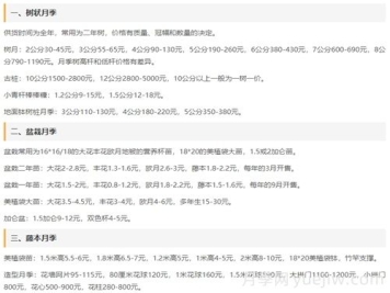 河南南陽月季批發(fā)價(jià)格_基地圖片_月季產(chǎn)地報(bào)價(jià)表