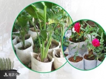 南陽(yáng)月季苗木花卉美植袋植樹(shù)袋廠家批發(fā)價(jià)