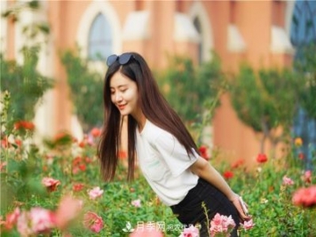 山東濟(jì)南的后花園，童話般月季花王國(guó)，300畝900個(gè)品種月季花盛放