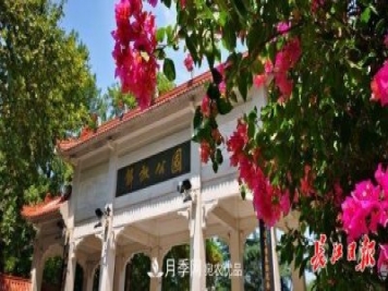 湖北武漢百萬株月季“理發(fā)”，國慶節(jié)前將綻放街頭