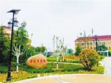 天津市西青區(qū)“赤龍月季園”建成開放