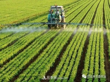 巴旦木生態(tài)農(nóng)業(yè)：河南三門峽為什么適合種植巴旦木？