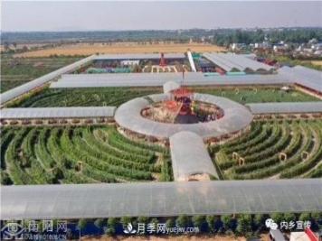 游玩好去處！內(nèi)鄉(xiāng)縣灌漲鎮(zhèn)歐月花海風(fēng)情園盛妝開(kāi)園