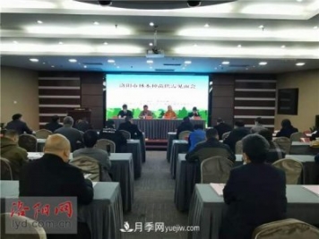 2.2億株！洛陽(yáng)市可供今冬明春國(guó)土綠化使用的苗木種類齊全
