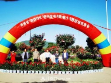 河南省四優(yōu)四化項(xiàng)目 助推南陽(yáng)月季、梔子產(chǎn)業(yè)發(fā)展