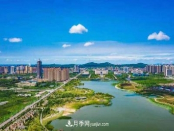 淮南市花、市樹是什么？是月季嗎？